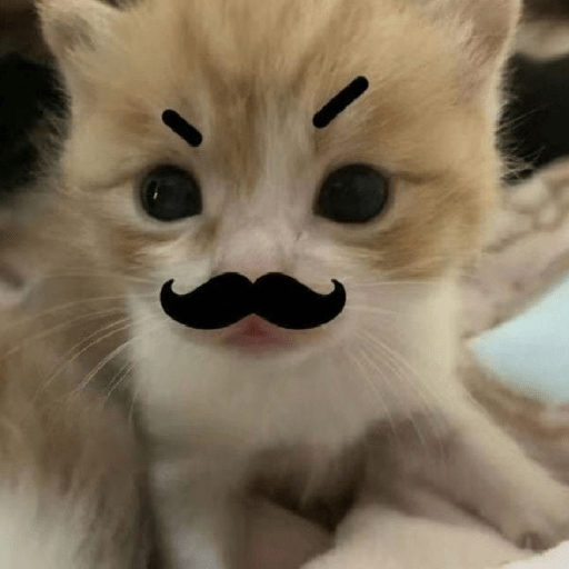 Cat Core 3 Sticker