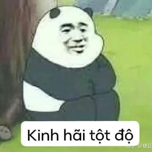 Chinese Panda Sticker