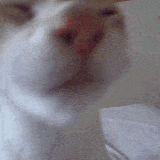 damn you taste good Sticker