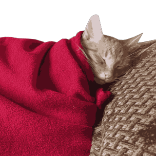 dreaming about catnip