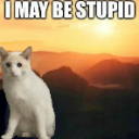 I may be stupid Sticker