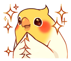 Bird Sparkle