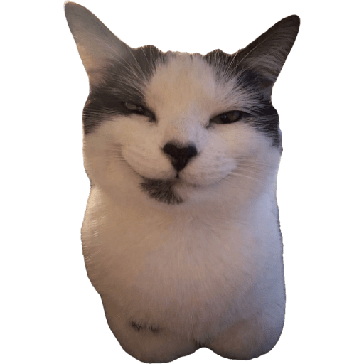 Cat Meme 12 Sticker