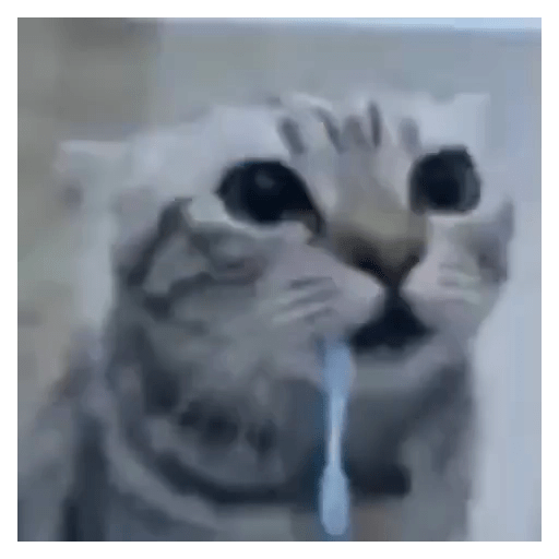 Drooling Cat 18 Sticker