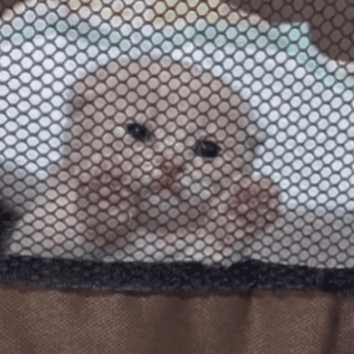 Cat 1 Sticker