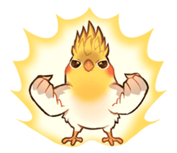 Bird Supersaiyan