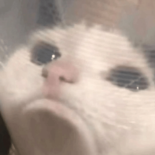 Cat Meme 6 Sticker