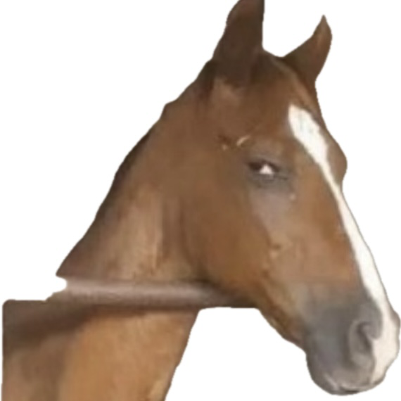 80005-caballo.png