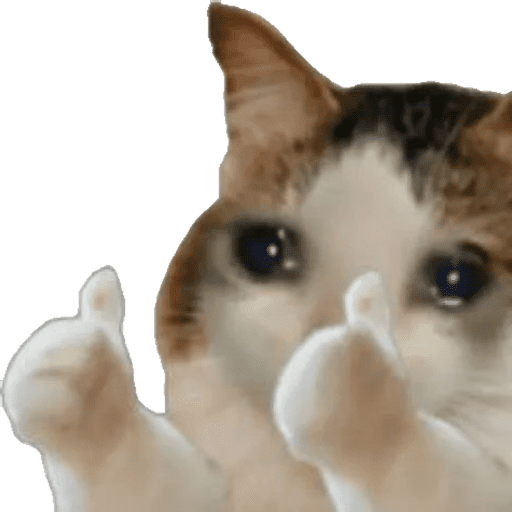 Cat Reaction 8 Sticker