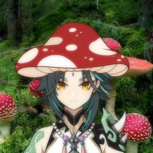 Xiao Mushroom Sticker