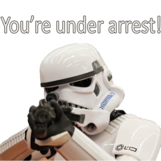 You're Under Arrest Trooper
