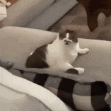 what that mouth do? ðŸ˜ Sticker