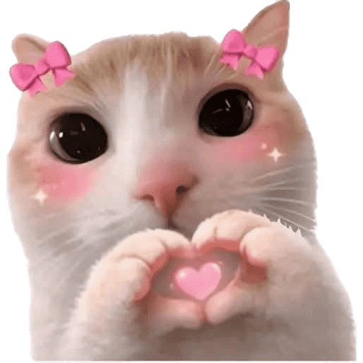 Cat Reaction 4 Sticker