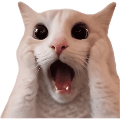 Cat Reaction 3 Sticker