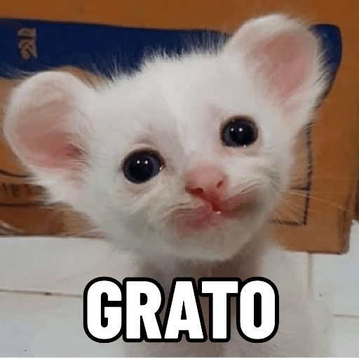 Cat Meme 26 Sticker