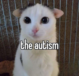 the autism Sticker