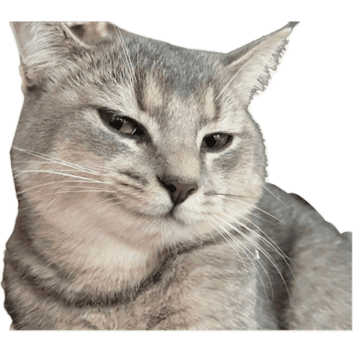 Cat Reaction 9 Sticker