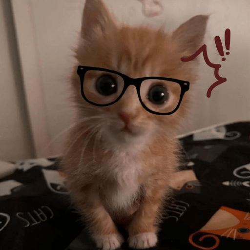 Cat Core 18 Sticker