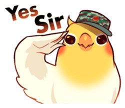 Bird Yessir Sticker