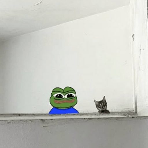 pepe the frog 13 Sticker