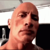 the rock