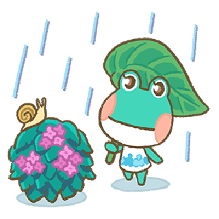 Lily rain
