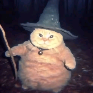 Magician cat