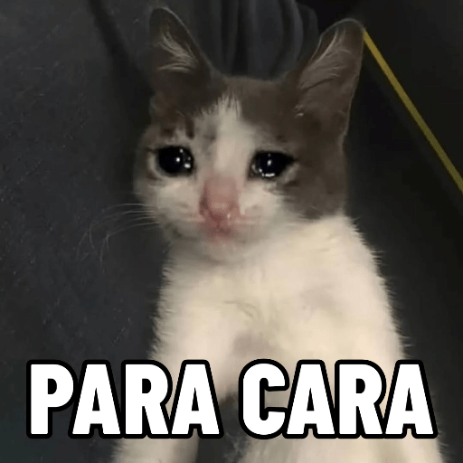 Cat Meme 10 Sticker