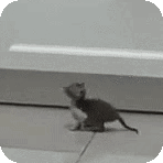 hop hyper