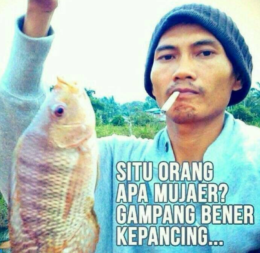 winto esfa