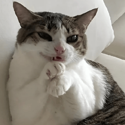 Cat Meme 27 Sticker